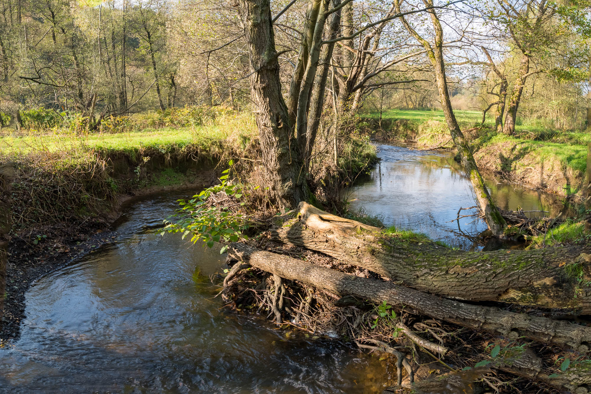 Der Hanfbach bei Röttgen