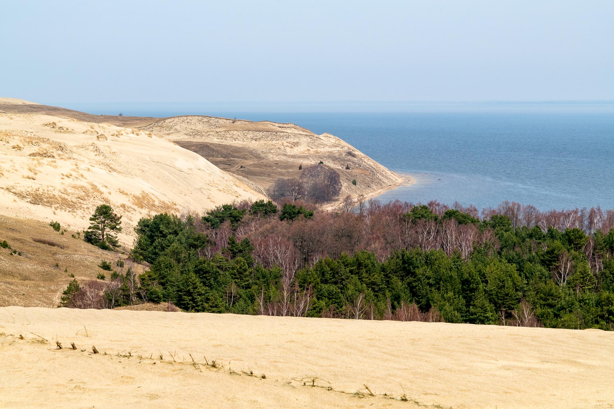 Die Dünen der Kurischen Nehrung