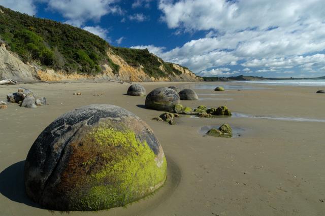 Die Moeraki Boulders am Boulders Beach