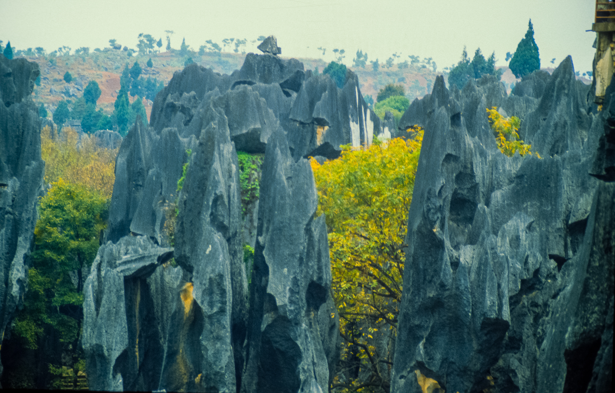 Shilin: Karstlandschaften in Südchina