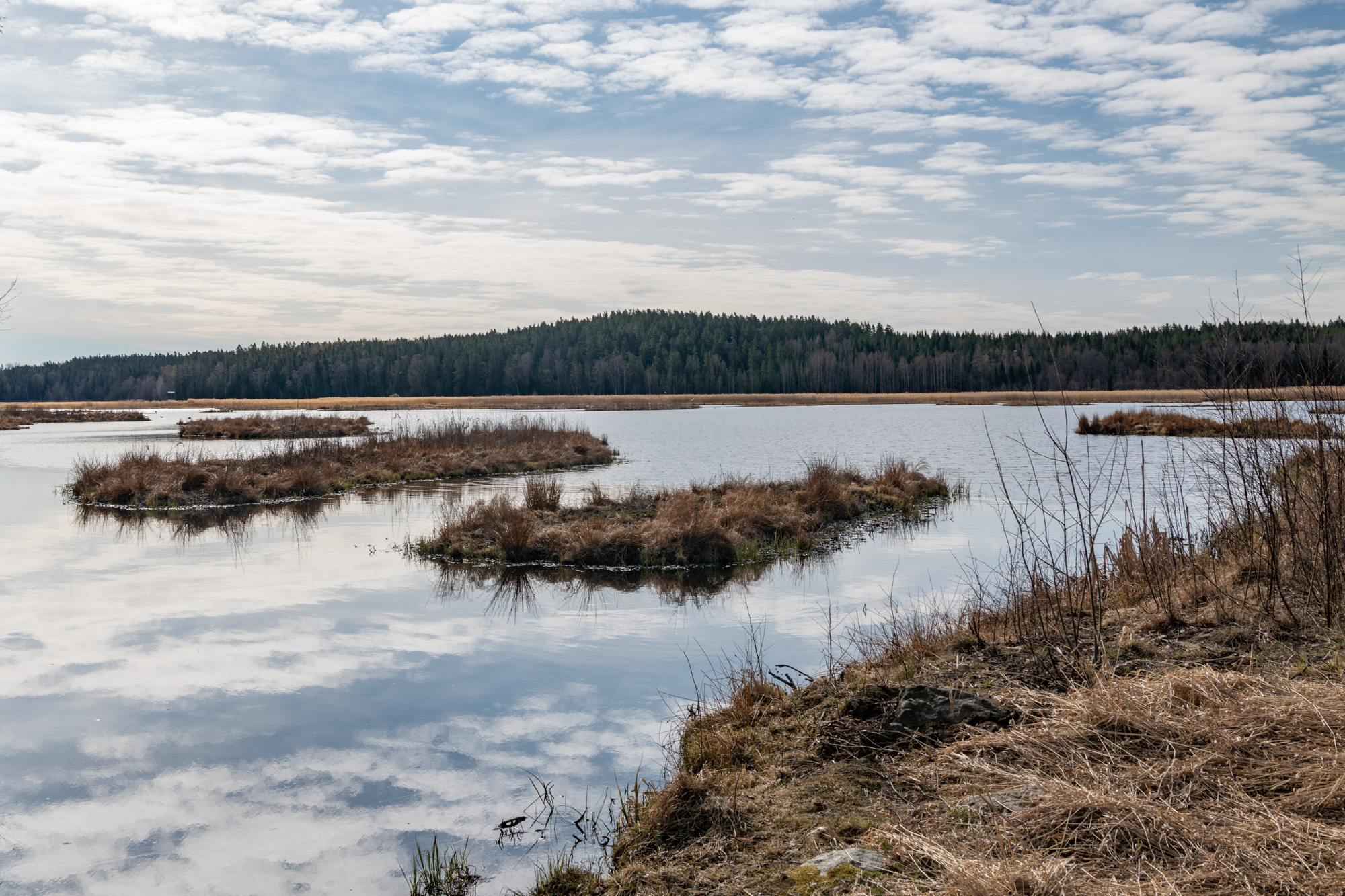Naturschutzgebiet Ålsjön
