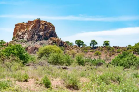 NFT 039: The Forgotten Kingdom of Mapungubwe in Limpopo