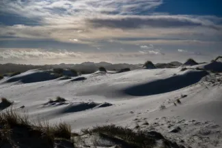 The dunes of Saint-Quentin-en-Tourmont