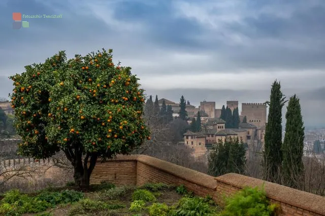 Generalife and the Alhambra