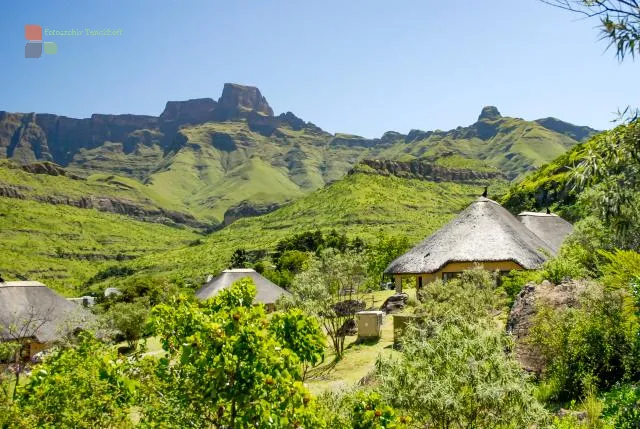 NFT 044: In the Drakensberg Mountains of Kwazulu-Natal
