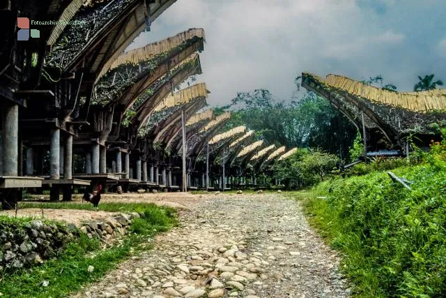 Tongkonan, the impressive houses of the Toraja