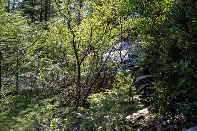 Immer mehr Flugzeugteile tauchen im Dschungel auf.