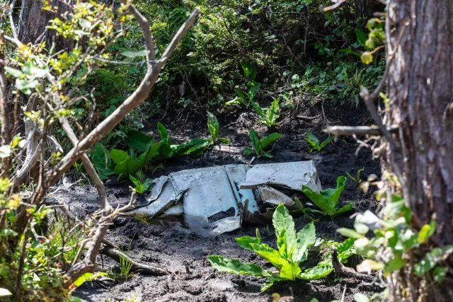 Immer mehr Flugzeugteile tauchen im Dschungel auf.