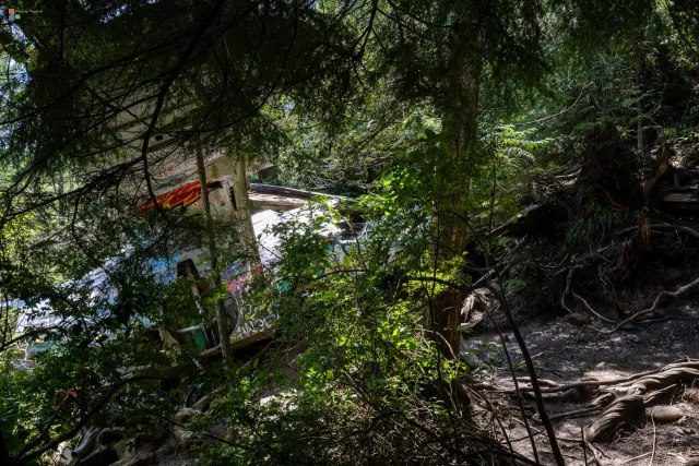 Immer mehr Flugzeugteile tauchen im Dschungel auf.