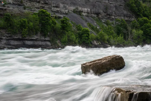 White Water & Wildlife