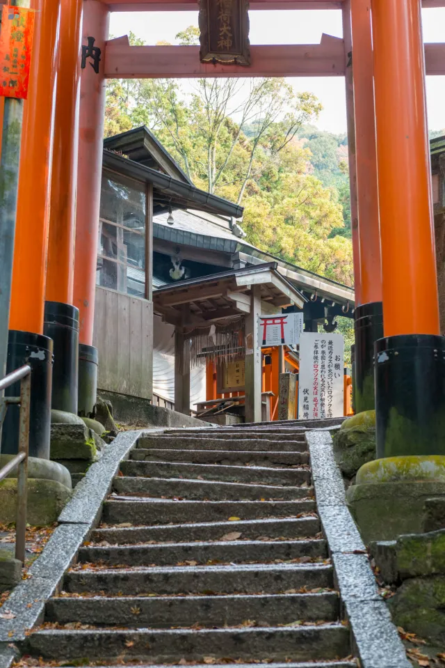 Ankunft am Ichinomine-Schrein: höchster Punkt der Route, Ziel vieler Pilger.