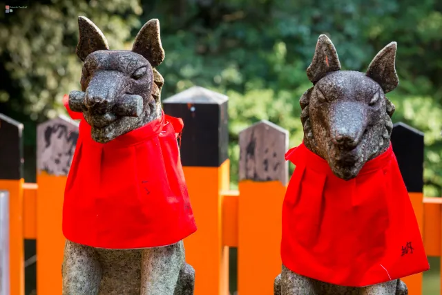 Die Hunde bewachen die Pilger