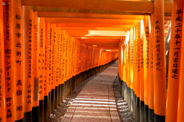 Die letzten Sonnenstrahlen durchdringen die Toris