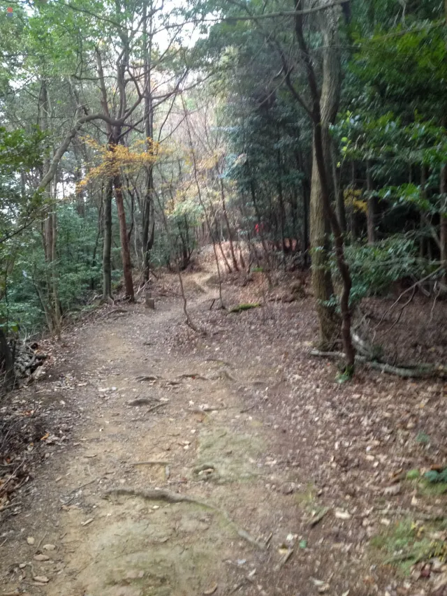 Auf dem Higashiyama-Trail