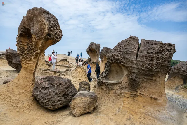 Pilzförmige Erosionsfelsen – typische Formationen des Yehliu Geoparks
