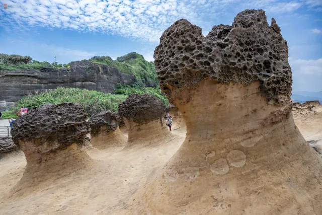 Pilzförmige Erosionsfelsen – typische Formationen des Yehliu Geoparks