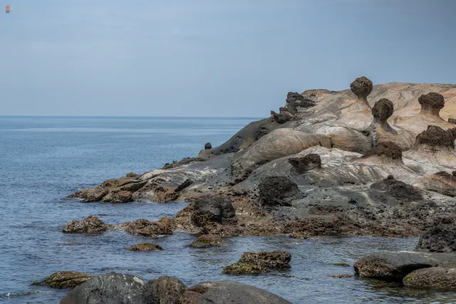 Die Felsküste des Yehliu Geoparks mit Blick auf das Meer