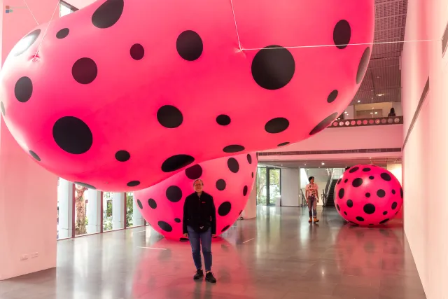 Dots Obsession 1998 / 2024