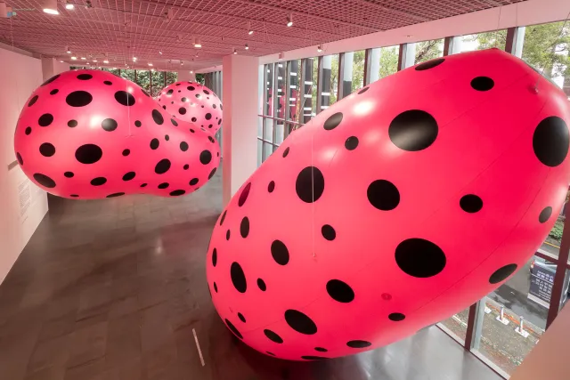 Dots Obsession 1998 / 2024 in 2025