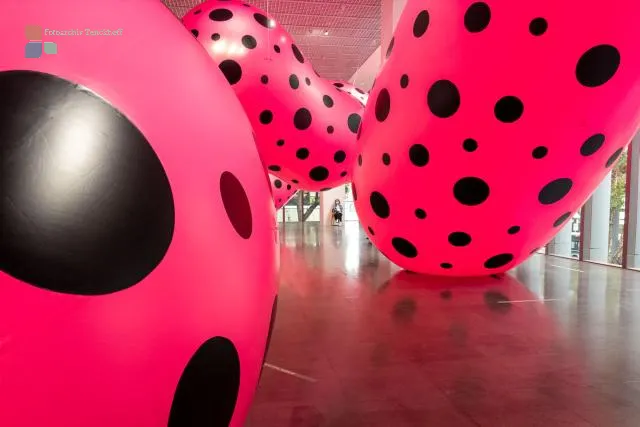 Dots Obsession 1998 / 2024