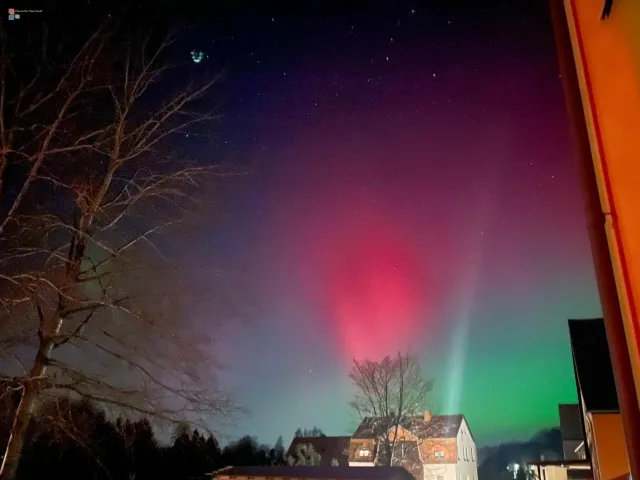 The tree canopy merges seamlessly into red aurora — as if it were burning in the sky for a brief moment.
