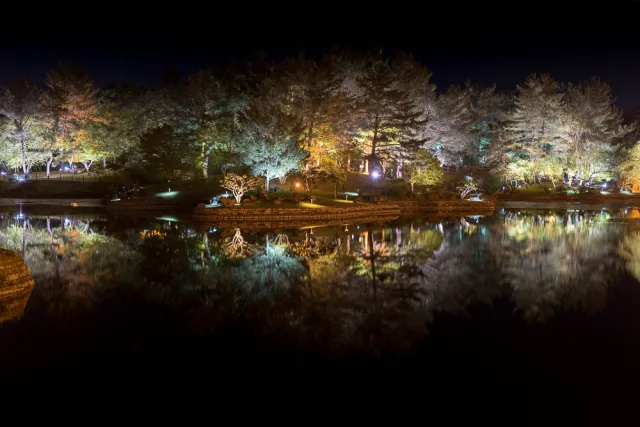 Anapji - ponds on the edge of the former Silla fortress Banwolseong in Gyeongju, South Korea.