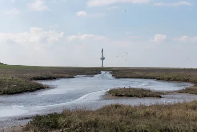 The salt marshes on the island of Neuwerk