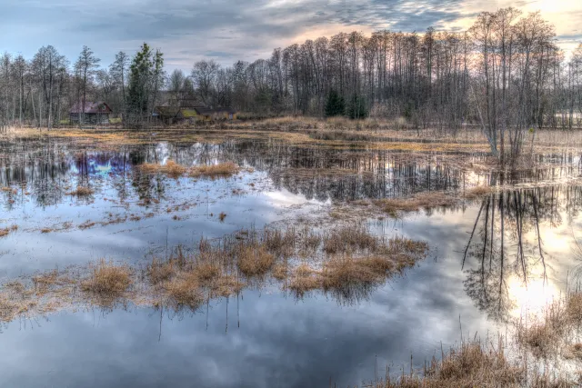 Die Seen rund um den Urwald von Białowieża