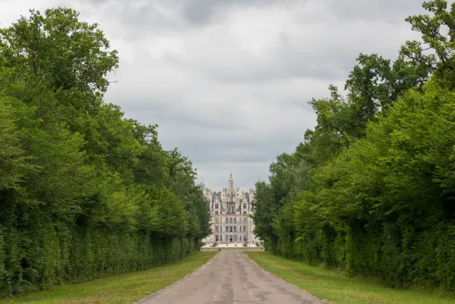 An avenue to Chambord Castle