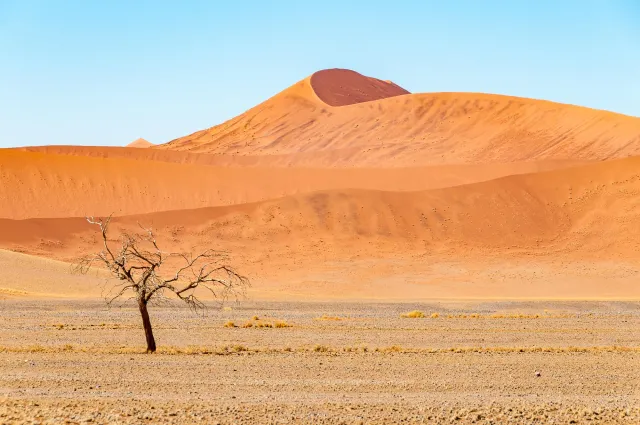 The dunes at Sossusvlei