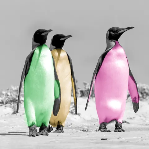 Warhol penguins as non-fungible token (NFT)