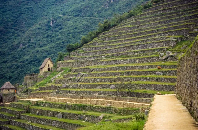 Machu Picchu - die heutige Ruinenstadt der Inkas 