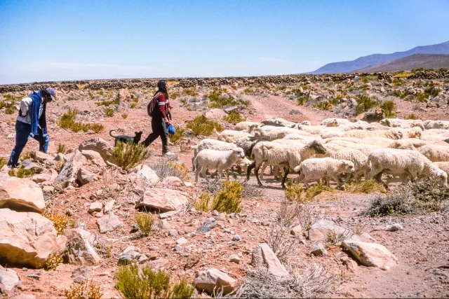 Einheimische bei San Pedro de Atacama