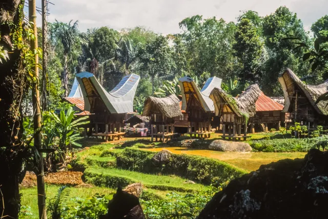 Tongkonan, the impressive houses of the Toraja