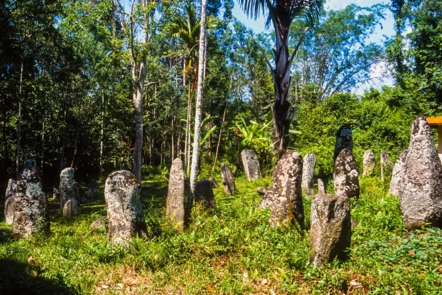 Menhirs for important deceased of the Toraja