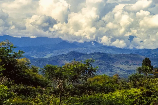 The Tanah Toraja highlands on Sulawesi island in Indonesia