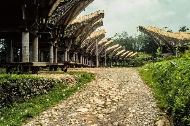 Tongkonan, the impressive houses of the Toraja