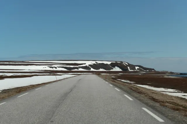 Sea eagles hunt on the road from Vadsø to Ekkerøy