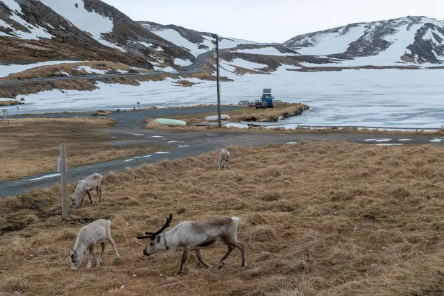 Ankunft am Basecamp auf dem Nordkap