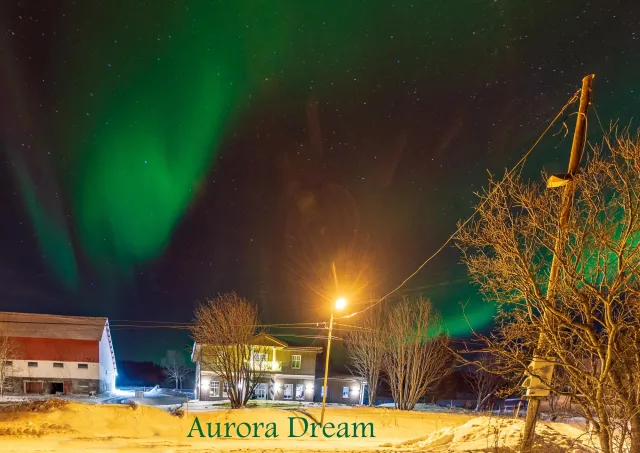 Aurora Dream of Frank Henriksen