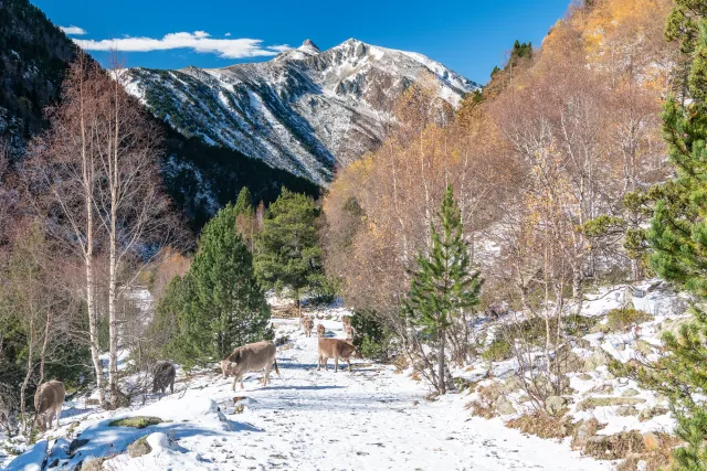Wandern in den Bergwelten von Andorra