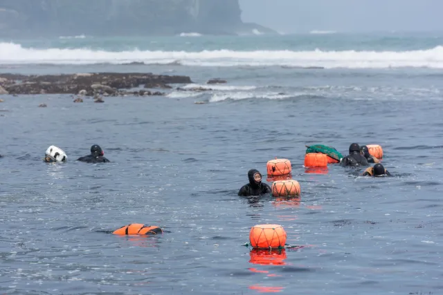 Die Seefrauen (Haenyo) von der südkoreanischen Insel Jeju.