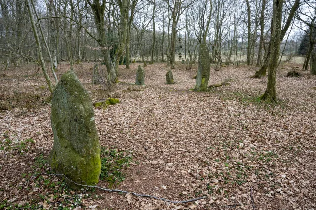 The stone circle Gryet
