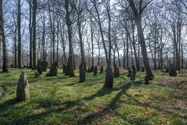 Menhirs or Bautasteine in Louisenlund