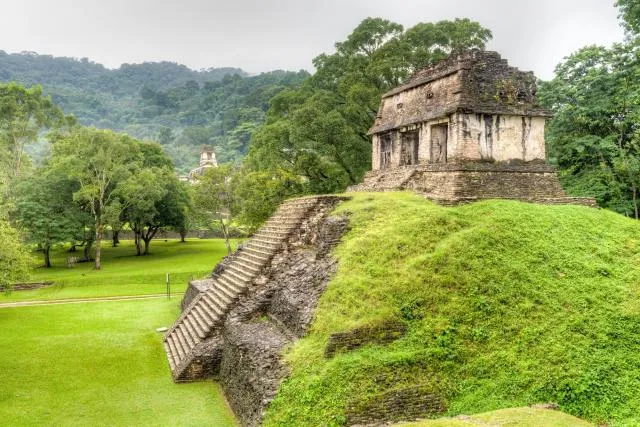 NFT 099: Palenque in the lowland jungle