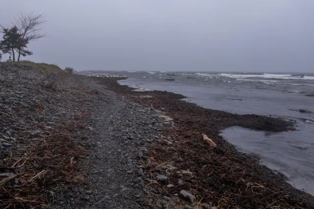 Trail von Bakkerne Havn nach Snogebæk