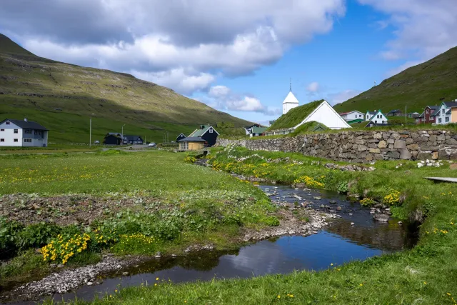 Buttercup streams in Húsavik