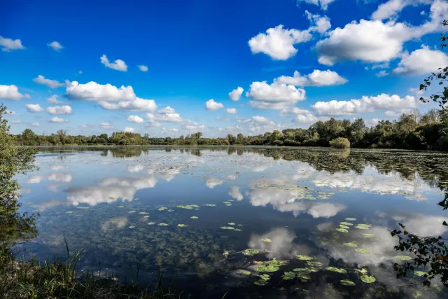 Große Seen entlang der Feuchtgebiete an der Somme bei Amiens