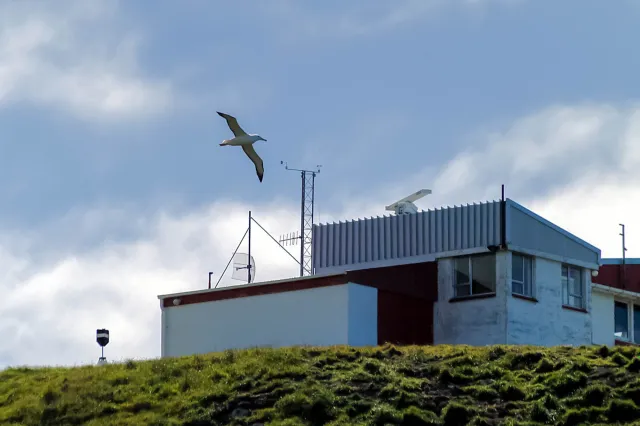 Die Beobachtungsstation auf der Otago Peninsula in Neuseeland