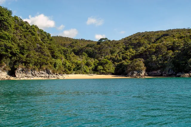 Strand am Ende des Abel Tasman Coast Track